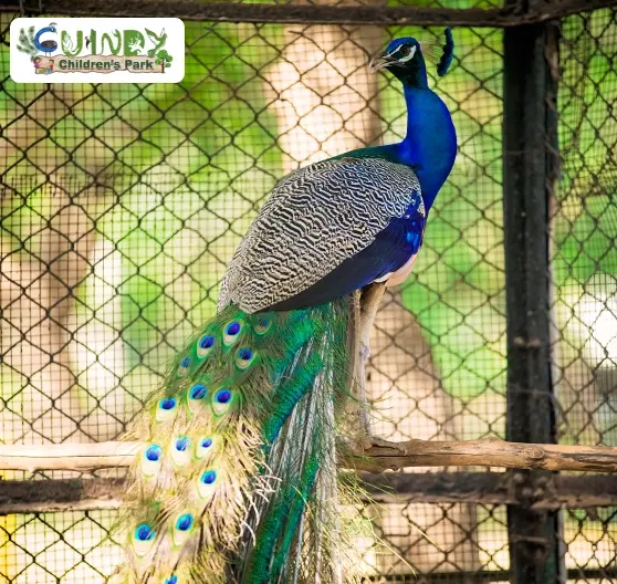 Guindy Park